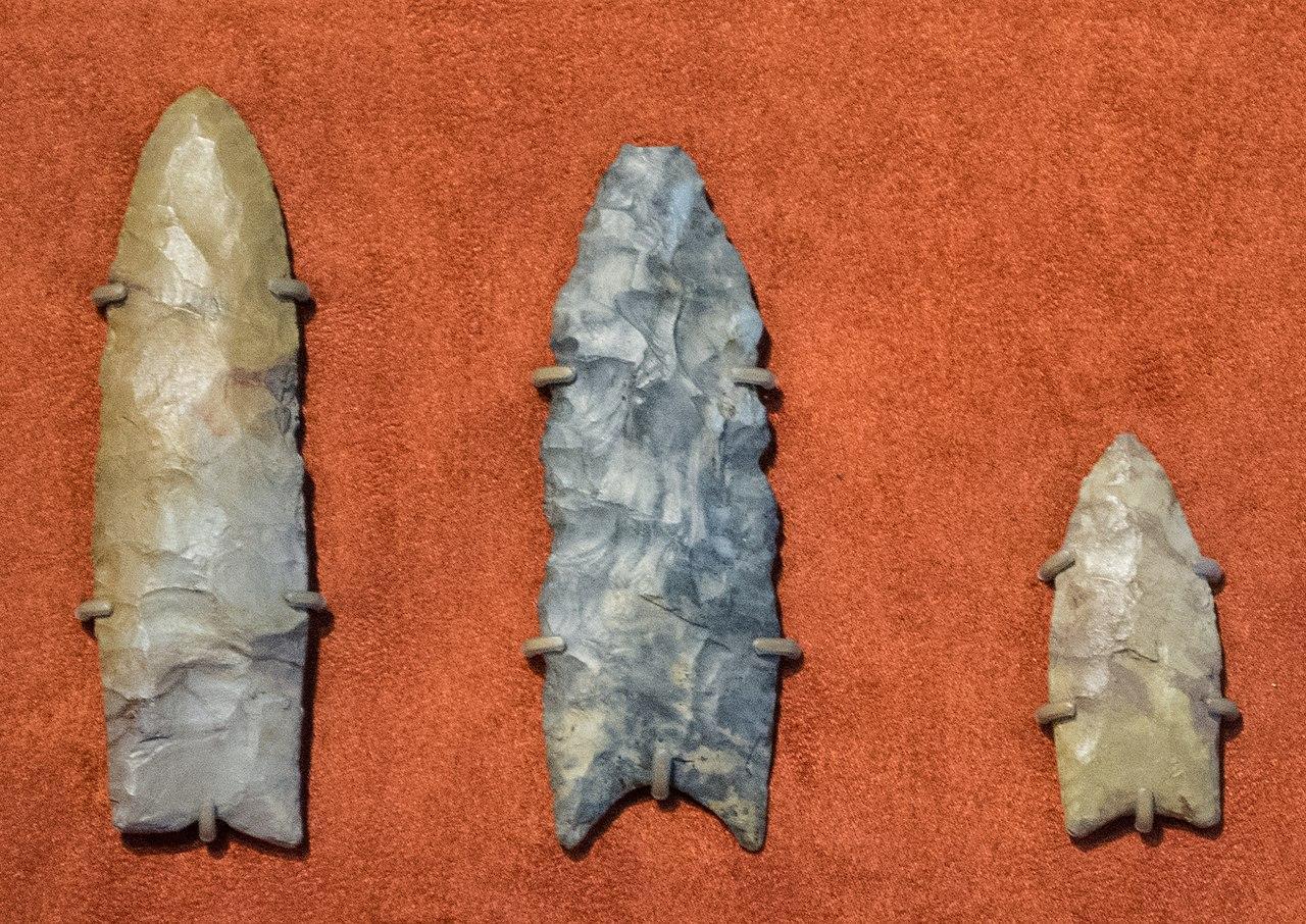 A photograph of several artifacts from the Clovis Culture on display