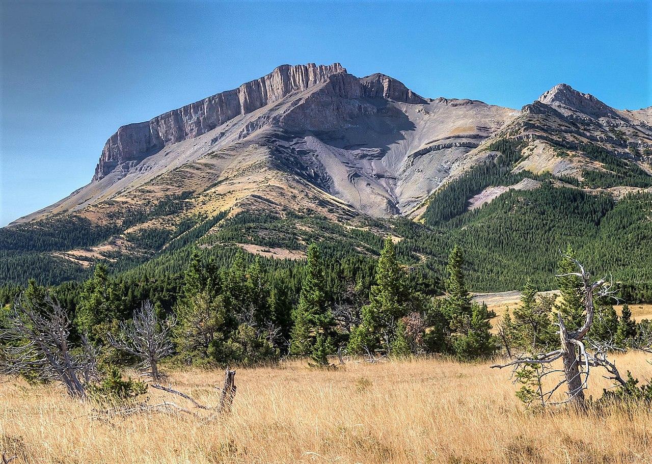 A photograph of a conservation area in Montana