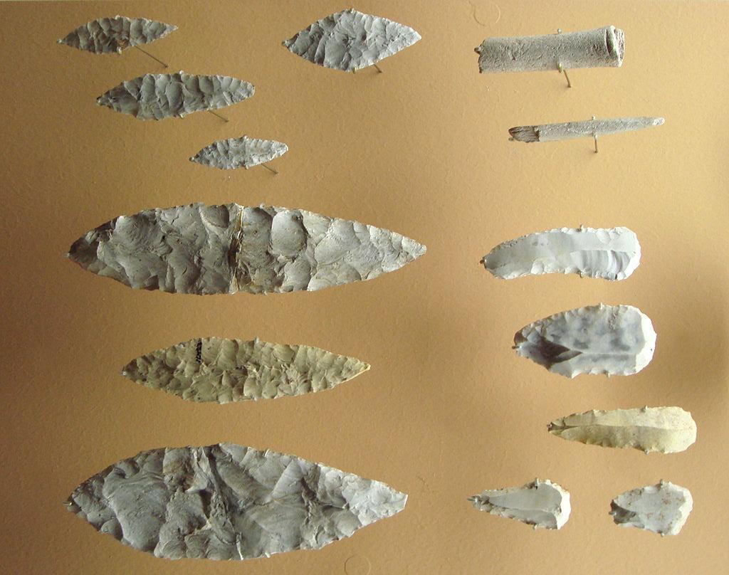 A photograph of Solutrean tools on display