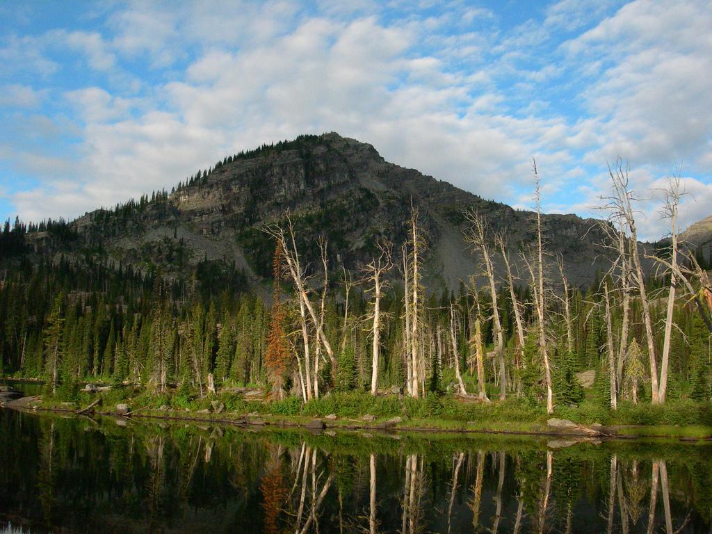 A photograph of a lake and trees in Montan