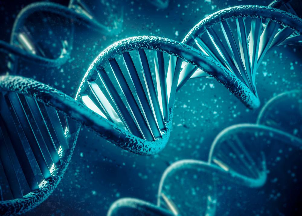 A photograph showcasing a strand of DNA