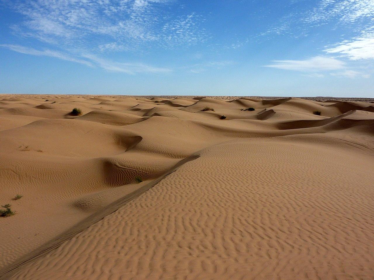 A photograph of the Sahara desert